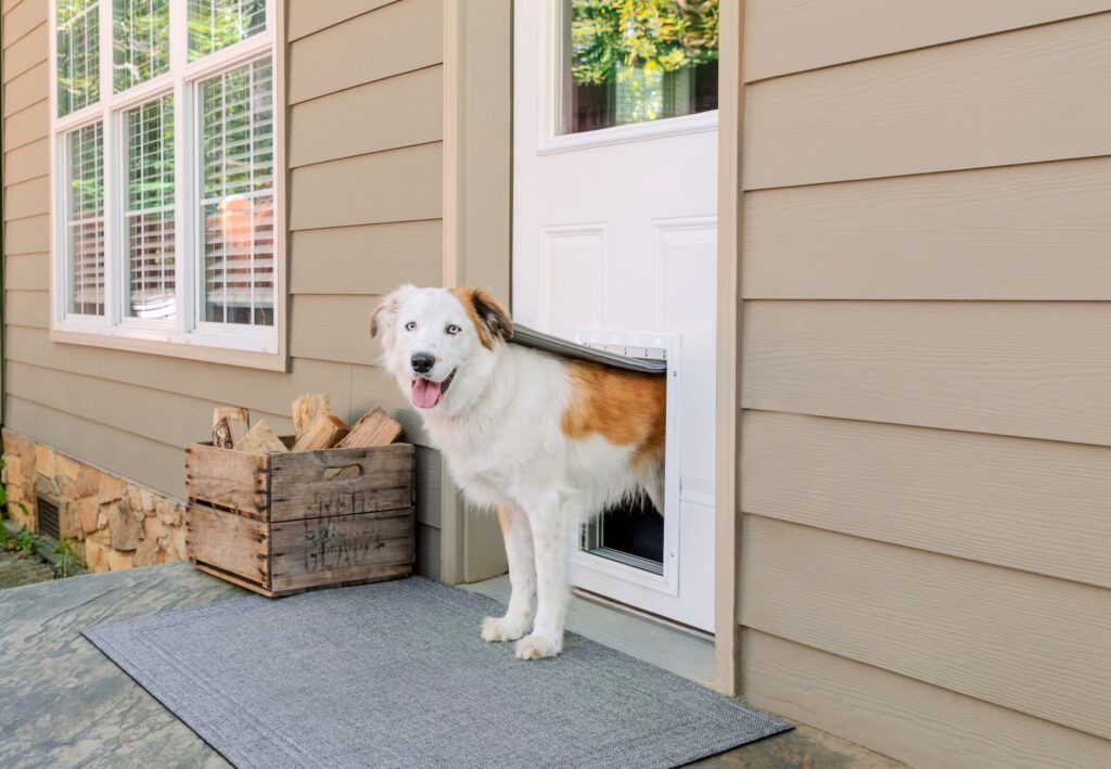 Are Electronic Pet Doors Safe?