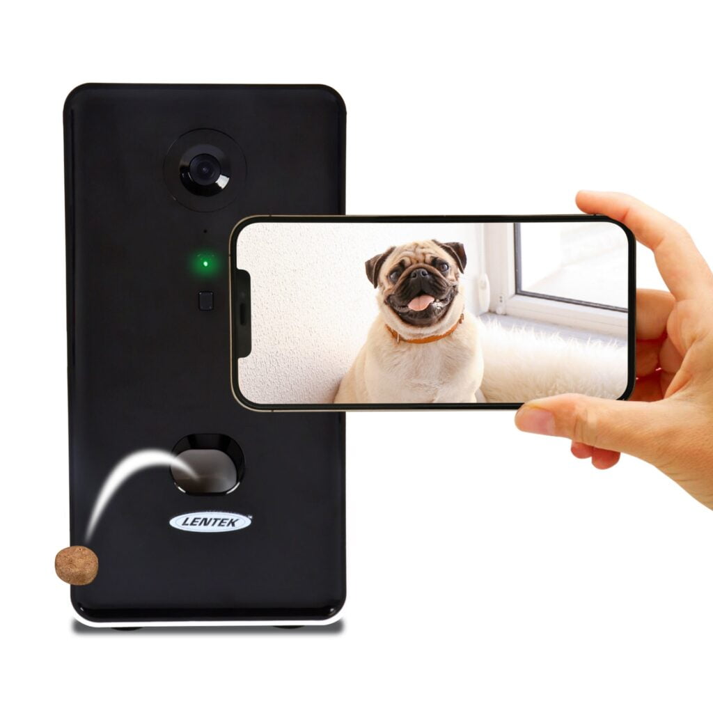 Can Smart Pet Doors Have Cameras