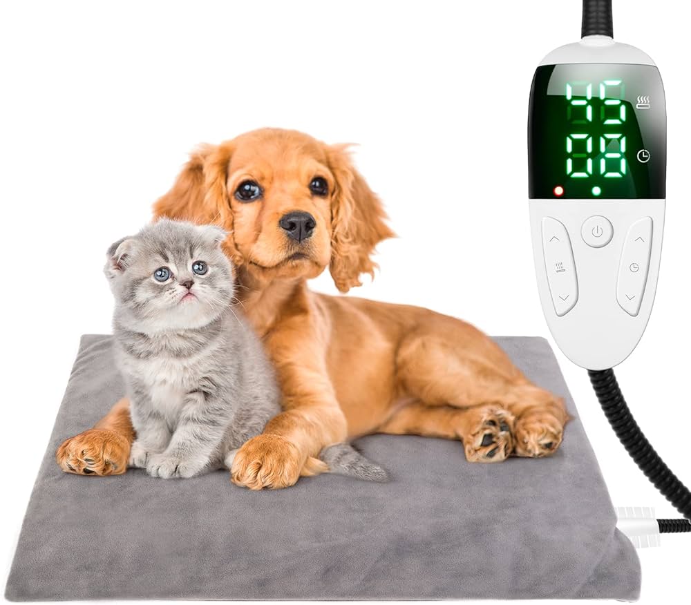 How To Set Your Thermostat for Your Pets