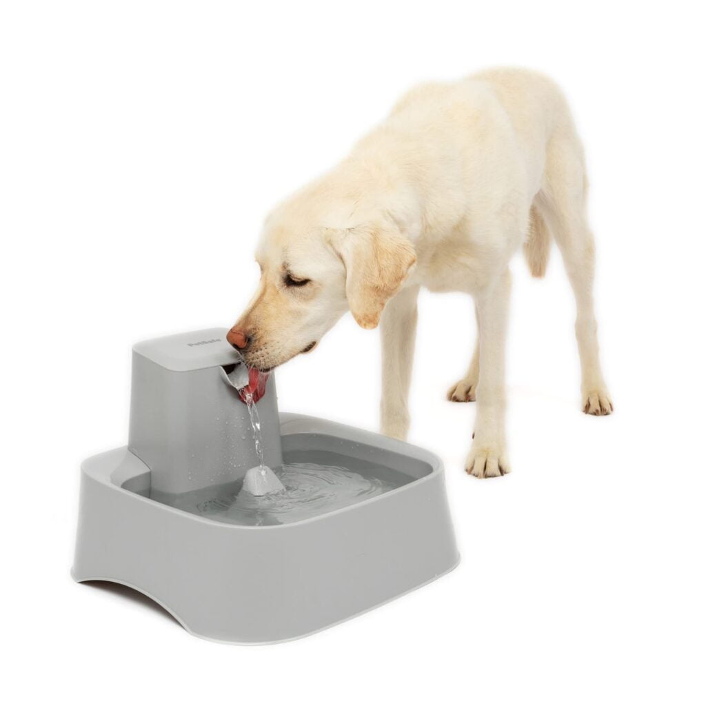 Automated Pet Watering,