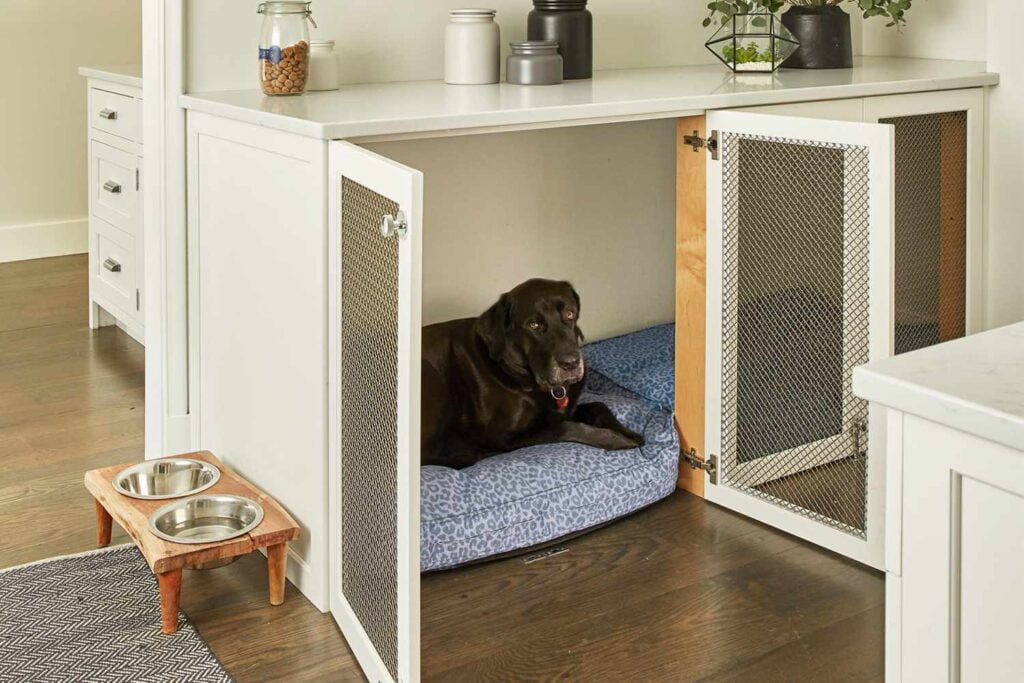 Creating a Pet-Friendly Home Office Space