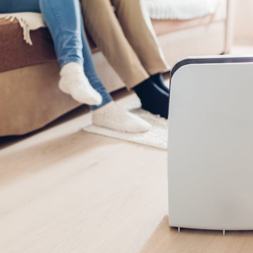Air Conditioner Vs. Air Purifiers: Key Differences Explained