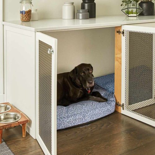Creating a Pet-Friendly Home Office Space: Expert Tips and Tricks