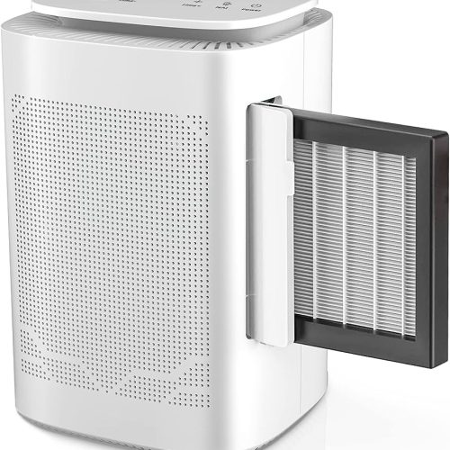 Smart Air Purifier And Dehumidifier: The Ultimate Combo for Pure Indoor Air