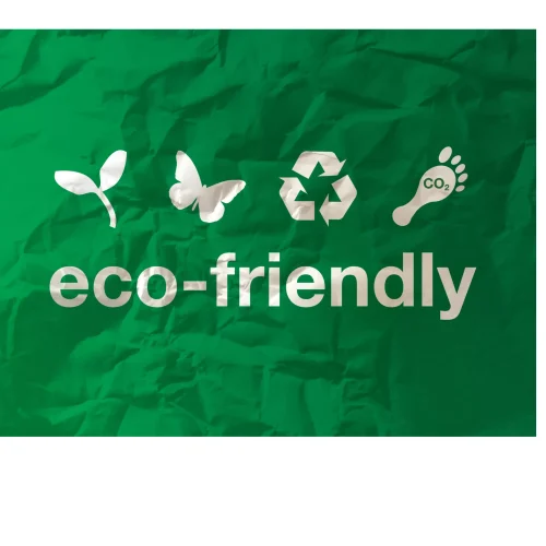 Sustainable And Eco-Friendly Practices for a Home Office: Green Tips!