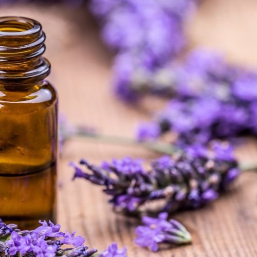 Boosting Focus and Productivity: The Impact of Scent & Aromatherapy
